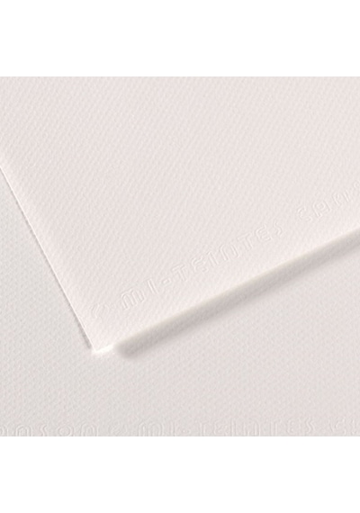 Canson Fon Kartonu Dokulu Mı-teıntes 50x65 160 Gr Whıt 335