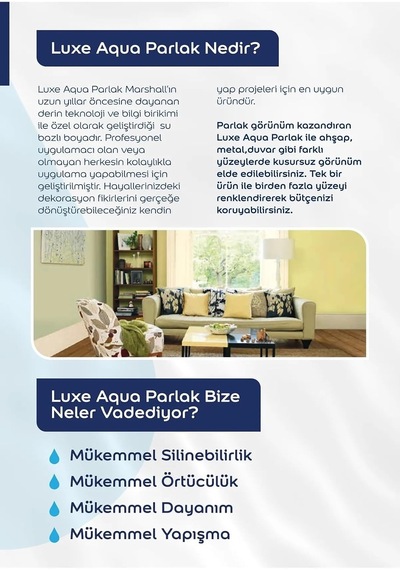 Luxe Aqua Parlak Su Bazlı Akrilik Dekoratif Dönüşüm Boyası 2,5 Litre Ahşap Ve Metal Boyası Beyaz,beyaz