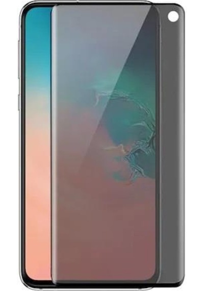 Samsung Galaxy Uyumlu S10 Plus Akfa Nano Mat Ekran Koruyucu