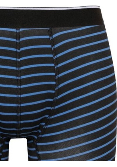 DeFacto Regular Fit Çizgili 3'lü Boxer C9573AX24CWBK81