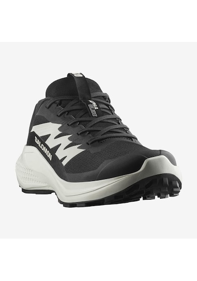 Salomon Alphaglıdeblack/phantom/ıcicle Erk Patika Koşusu Ayakkabısı L47801000 Siyah - Beyaz Salomon Alphaglıdeblack/phantom/ıcicle Erk Patika Koşusu Ayakkabısı L47801000 Siyah - Beyaz