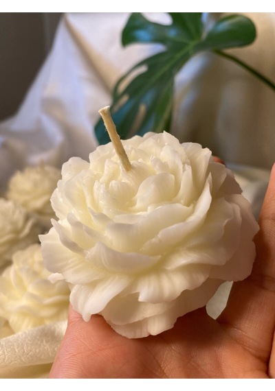Bernami Biblo Pinterest 6'lı Gül Vegan Mum