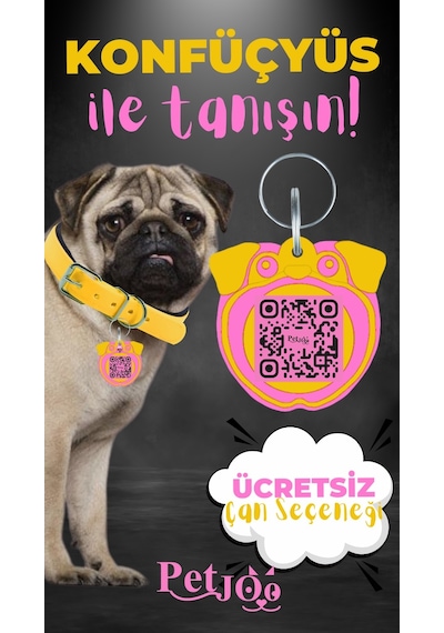 Petjoo 9.Konfüçyüs Pembe-Sarı Qr'lı Köpek Künyesi