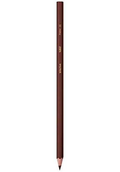 Bic Kids Evolution Kuru Boya Kalemi 24+1'li Metal Tüp Diğer