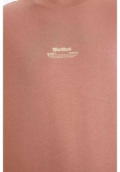Defacto Nefes Alabilen Loose Fit Baskılı Tişört F8147ax26spbr496 Bordo-br496