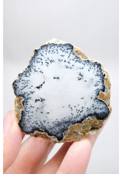 Dendritik Simya: Merlinit Dendritik Opal - Cilalı Çift