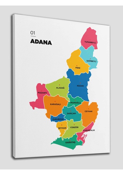 Doğaltercih Adana İli ve İlçeler Haritası  Dekoratif Kanvas Tablo 1248