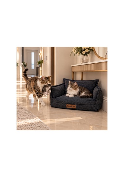 Kedi Ve Köpek Koltuğu Tamamen Fermuarlı Çıkarılabilir İç Minder Boncuk Elyaf Kaydırmaz Taban Kedi Ve Köpek Yatağı Koyu Gri 1716708619 Kedi Ve Köpek Koltuğu Tamamen Fermuarlı Çıkarılabilir İç Minder Boncuk Elyaf Kaydırmaz Taban Kedi Ve Köpek Yatağı Koyu Gri 1716708619