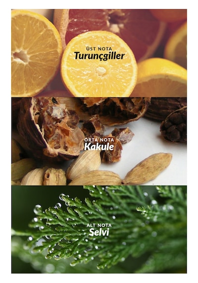 Avon Full Speed Erkek Parfüm Edt 75 Ml Ve 50 Ml Roll On Hediyelik Set Şık Tasarım Turunçgil