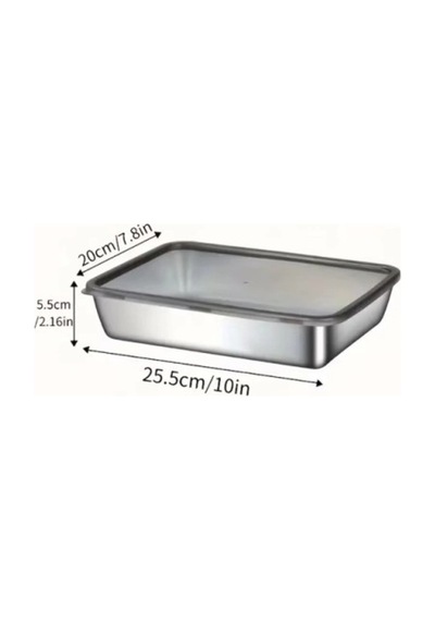 Herşeytrend Çok Amaçlı Paslanmaz Çelik Fırın Ve Saklama Kabı 25x20x5 Cm Çok Renkli