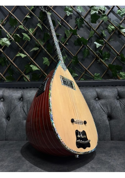 Ankara Elektro Bağlama Çift Kapak Ekolayzırlı Soft Case Dahil
