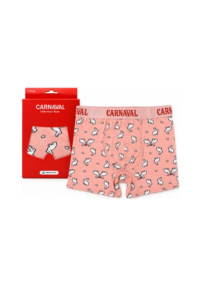 Carnaval Socks Tavşan Desenli Erkek Boxer Pamuklu Likralı Parlak Lastikli Kutulu Pudra Çoklu