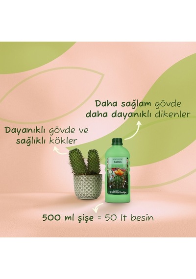 Genta Prestige Kaktüs İçin Sıvı Besin Diğer