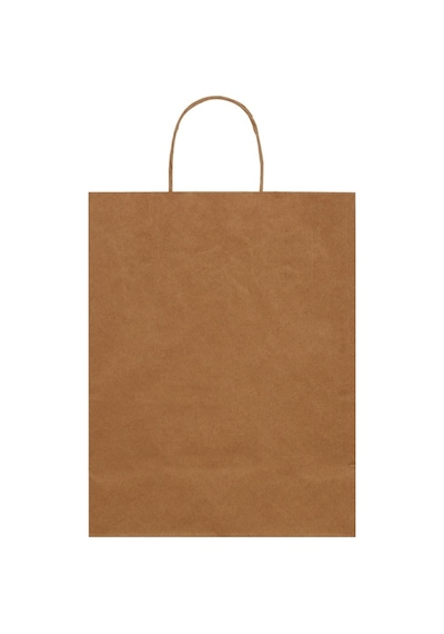Packanya 20 x 10 x 22 - 200 Adet Burgu Saplı Kraft Çanta