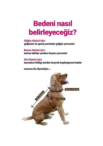 Miniş Kırmızı Xmas Deer Küçük Köpek Kazağı