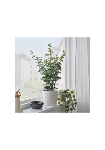 Ikea Fejka Yapay Bitki 15 Cm Yeşil 206.152.72