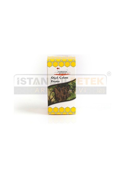 Oğul Çekme Esansı 20 CC