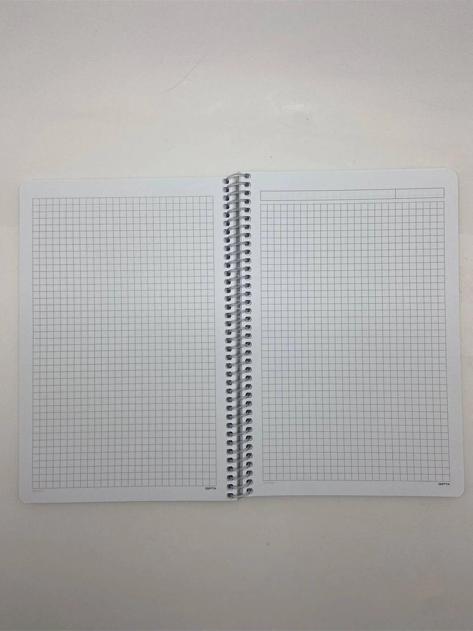 Post-book Spiralli Karton Kapak 17x24 80 Yaprak Kareli Defter 3'lü Meow