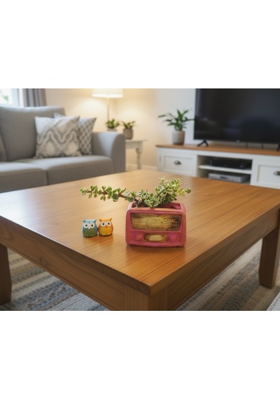 Artepieza Retro Radyo Sukulent Saksısı Ve Kalemlik - Masaüstü Dekoratif Organizer Pembe 12 8 12cm