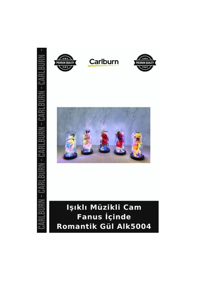 Işıklı Müzikli Cam Fanus İçinde Romantik Gül Gece Lambası Sevgiliye Sürpriz Anlamlı Hediye