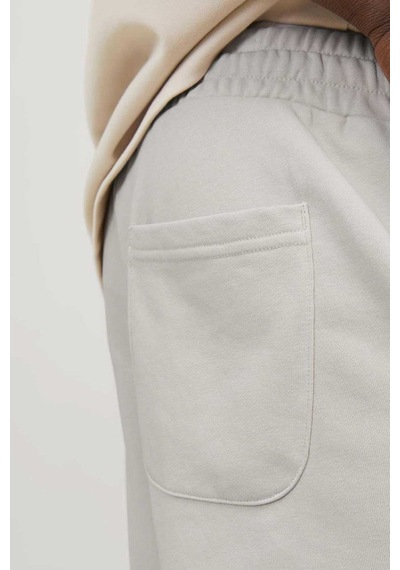 Jack & Jones Jpstkane Jjvesterbro Swea Bej Erkek Şort 000000000101961773 Bej