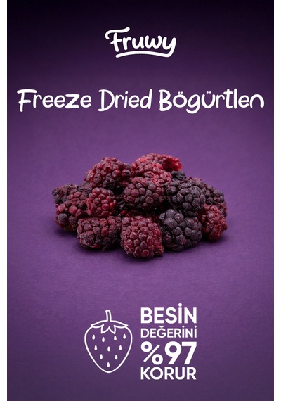 Freeze Dried Böğürtlen Kova Dondurularak Kurutulmuş Böğürtlen Diğer