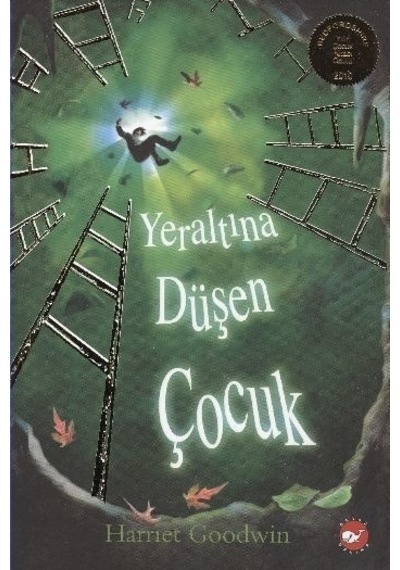 Yeraltına Düşen   Çocuk