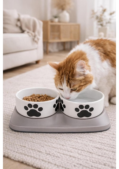 Premium Yükseltilmiş İkili Seramik Kedi Mama Ve Su Kabı