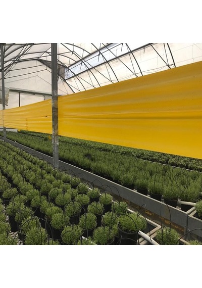 Roll Trap Sarı Rulo Yapışkanlı Si Nek Tuzağı 15 Cm X 50 M