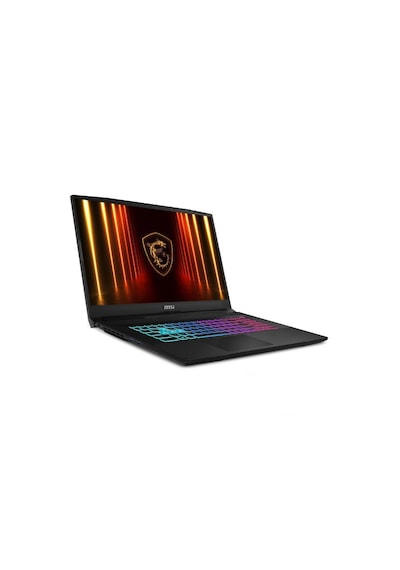 MSI Katana 17 HX B14WFK-216XTR i7-14650HX 32 GB 1 TB SSD RTX5060 17.3" Free Dos Dizüstü Bilgisayar
