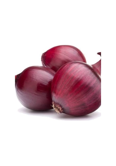 60+ Red Burgundy Kırmızı Soğan Tohumu N11415