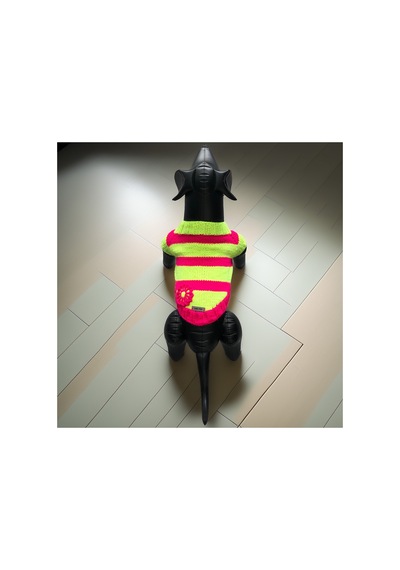 Kedi Ve Köpek İçin Neon Yeşil Pembe Hırka