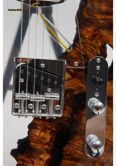 Elektro Gitar Custom Epoksi & Yıllanmış Ağaç Kişiye Özel Beyaz - Siyah