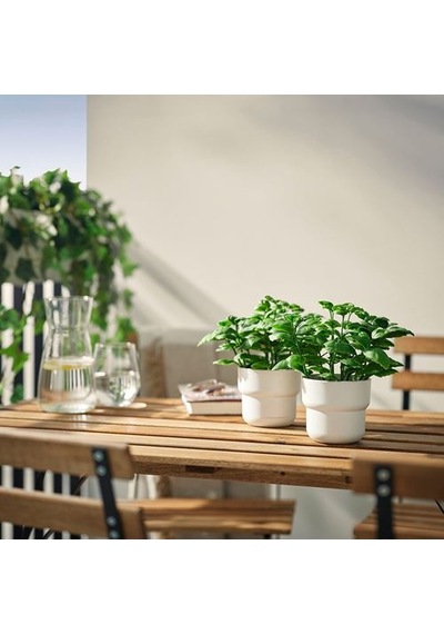 Ikea Fejka Yapay Bitki, Yeşil, 9 Cm, İç/dış Mekan Fesleğen