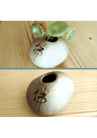 Omeniv Mini Bonsai Saksı + Sukulent Kaktüs Otantik