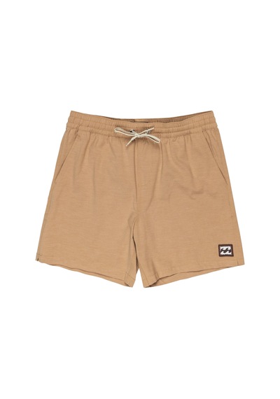 Bıllabong Billabong Every Other Day Lb Erkek Kahverengi Volley Short 18178 Kahve