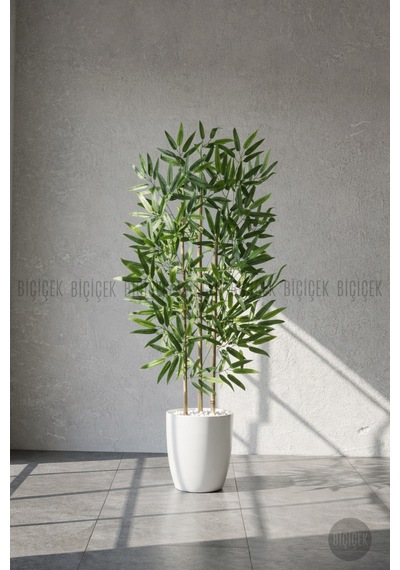 110 Cm Bambu Ağacı Beyaz Yakut Saksıda Bej
