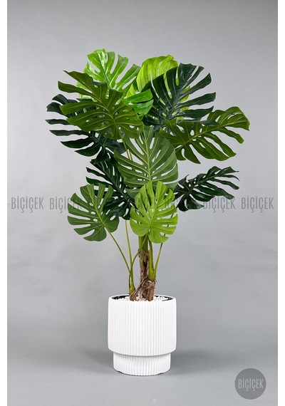 Biçiçek Yapay Monstera Ağacı Deve Tabani 160 Cm Beyaz Vega Saksıda