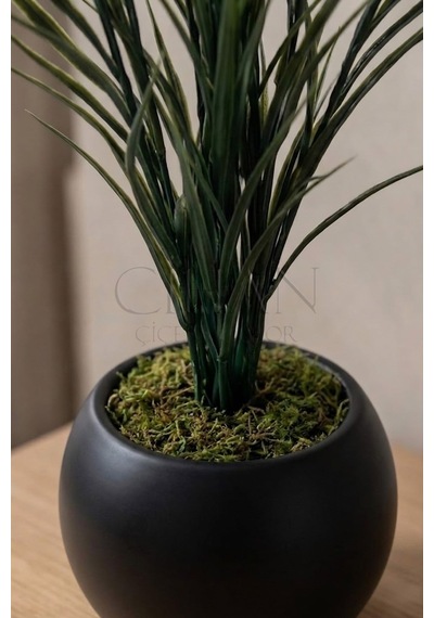 Küre Saksılı Koyu Yeşil Yapay Sazlık 80 Cm Beyaz