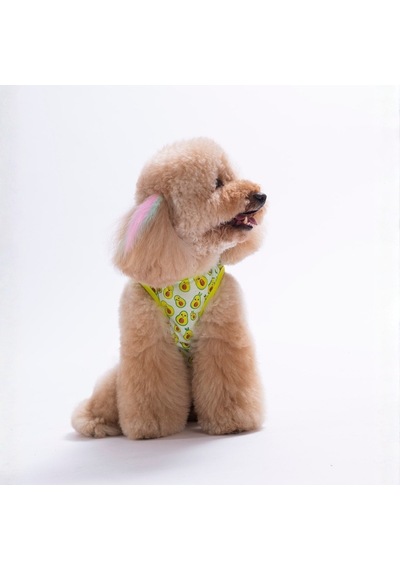 Avocado Tişört Kedi Köpek Tişörtü-kedi Köpek Kıyafeti