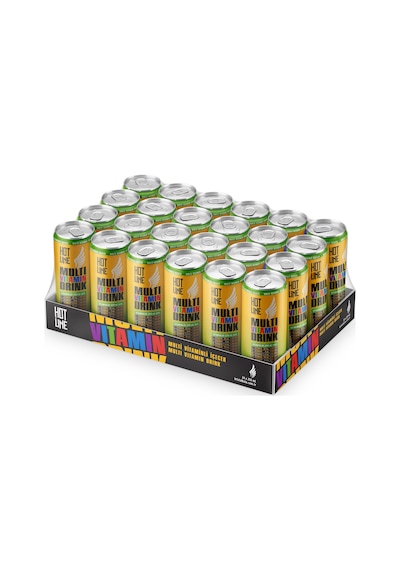 Hotline Multivitaminli İçecek 250 ml 24'lü