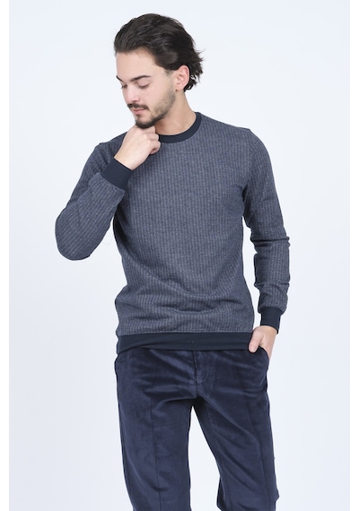 Raymons Erkek Desenli Bisiklet Yaka Triko Sweat 6782270 Lacivert