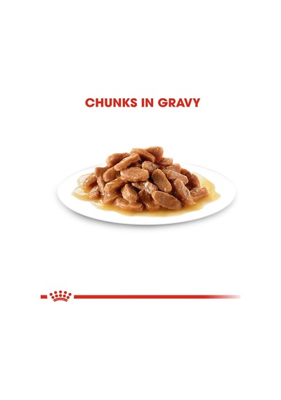 Royal Canin Kitten Gravy Yavru Kedi Konservesi 12x85 Gr