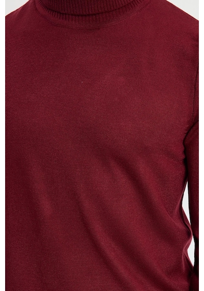 Tudors Erkek Slim Fit Dar Kesim Yumuşak Dokulu Tüylenmeyen Bordo Tam Balıkçı Yaka Triko Kazak-34928 Bordo