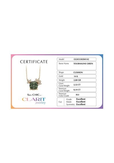 Created Tourmaline Taşlı Clarit Serisi 14 Ayar Sarı Altın Kolye