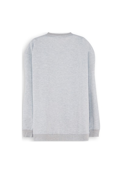 Denokids Roar Erkek Çocuk Sweatshirt - Gri