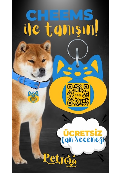 Petjoo 18.Cheems Sarı-Mavi Qr'lı Köpek Künyesi