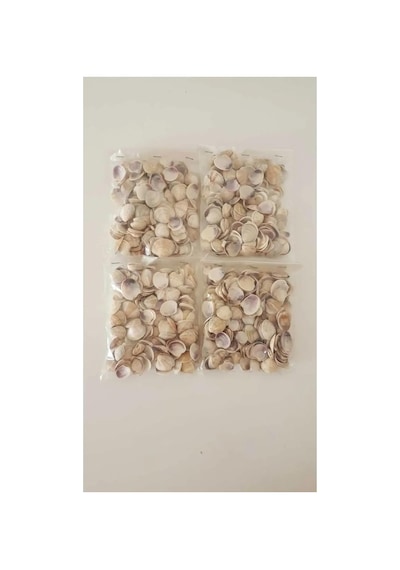 Tr Küçük Deniz Kabuğu Süs Dekoratif Akvaryum Süsleme 100 Gr