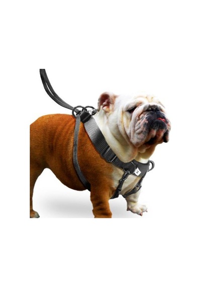 Karlie Easy Walker Kolay Yürüyüş Köpek Göğüs Tasması 52 x 84 cm X