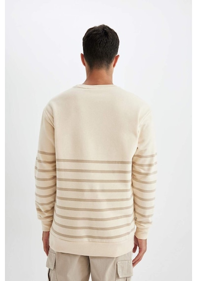 DeFacto Comfort Regular Fit Rahat Kalıp Bisiklet Yaka Çizgili Kalın Sweatshirt D2397AX24AUER42